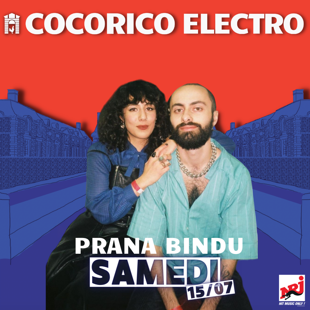 shani (7) cocorico-electro-feder